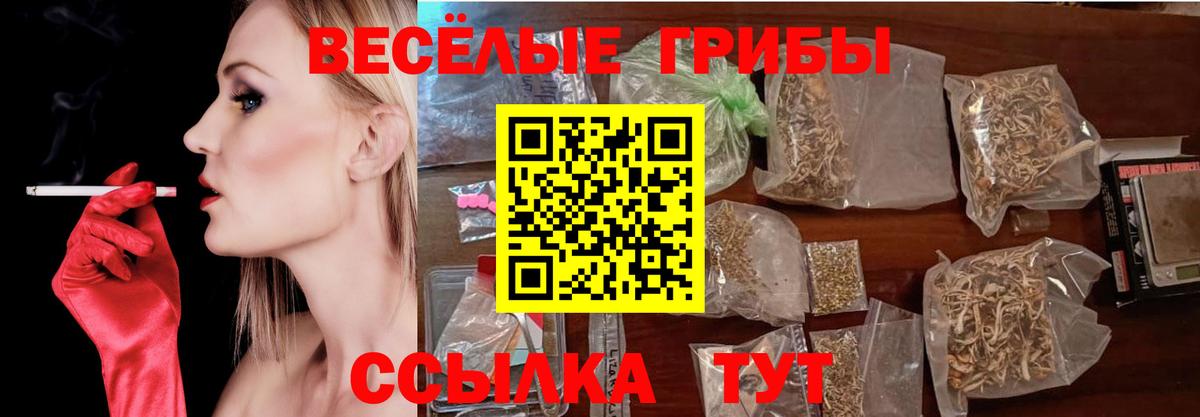 Луга  Галлюциногенные грибы MAGIC MUSHROOMS  Вход с VPN 